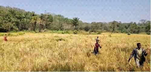 The Land Remembers
